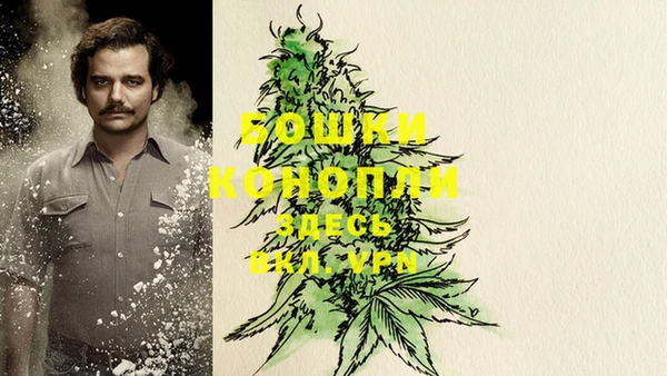 MESCALINE Арсеньев