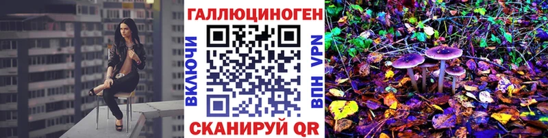 закладки  darknet телеграм  Псилоцибиновые грибы Cubensis  Зверево 